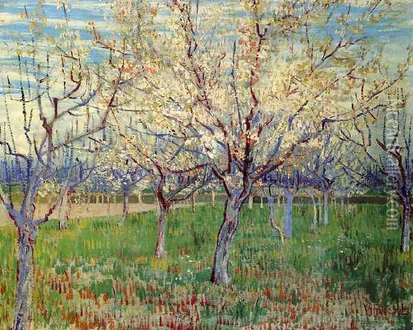 Orchard With Blossoming Apricot Trees Oil Painting - Vincent Van Gogh