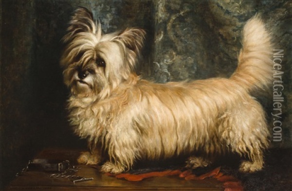 Portrait Of A Skye Terrier Oil Painting - Nellie Hadden