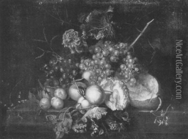 Grapes, Peaches, Plums, Raspberries, Melon And A Carnation  On A Ledge Oil Painting - Johannes Cornelis de Bruyn