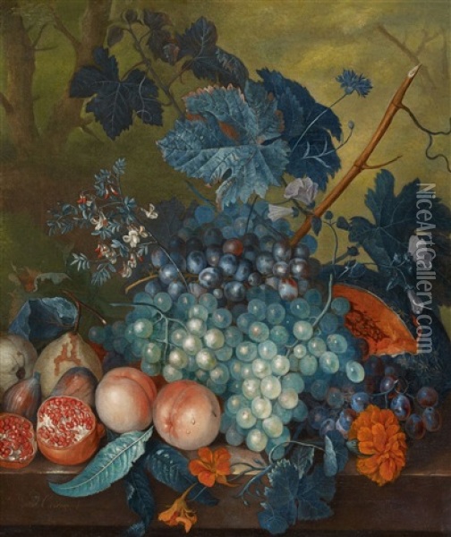 Fruit Still Life With Grapes, Peaches, Pears And Pomegranates Oil Painting - Jacob van Huysum