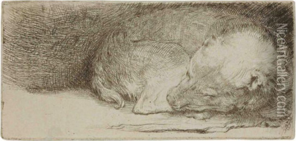 A Sleeping Puppy Oil Painting - Rembrandt Van Rijn