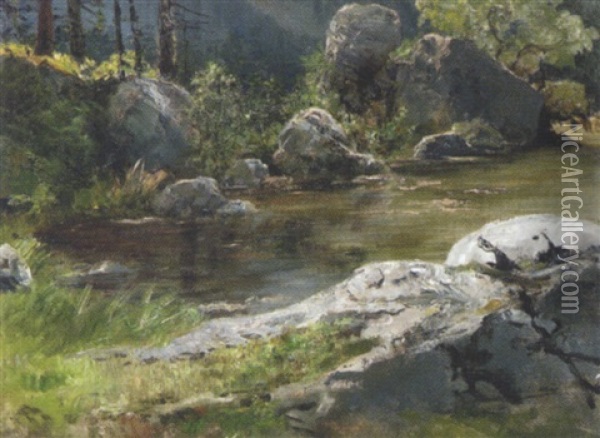 Am Stillen Gewasser Im Wald Oil Painting - Julius von Blaas