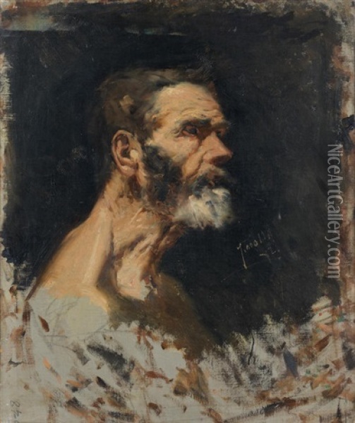 Cabeza De Anciano Oil Painting - Joaquin Sorolla