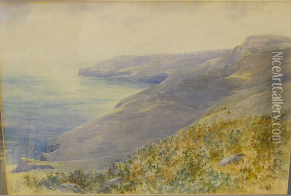 'view Of Saintalbans Head From The Top Of The Cliffs' Oil Painting - William Henry Dyer