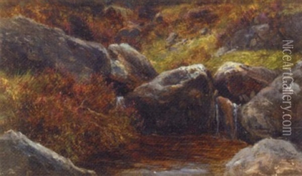 Rocks And Heather Oil Painting - James Faed the Younger