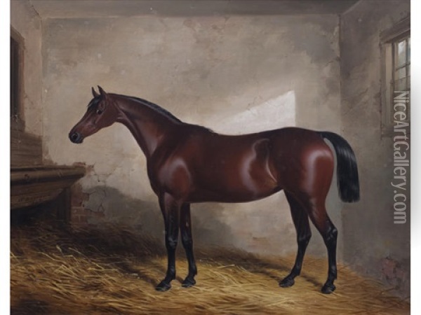 Portrait Of The Hunter Skylark Oil Painting - William Barraud