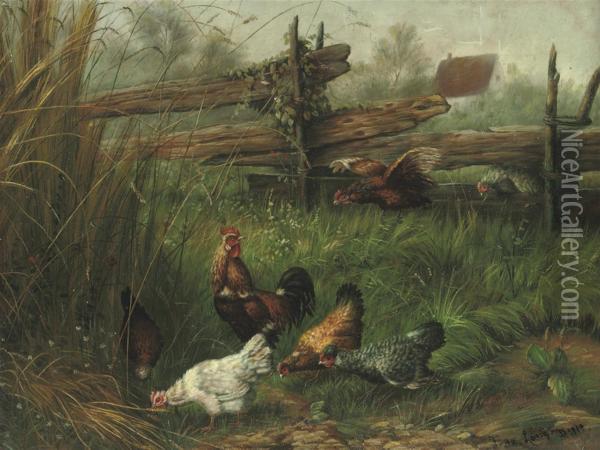 Poultry In A Meadow Oil Painting - Fritz Lange