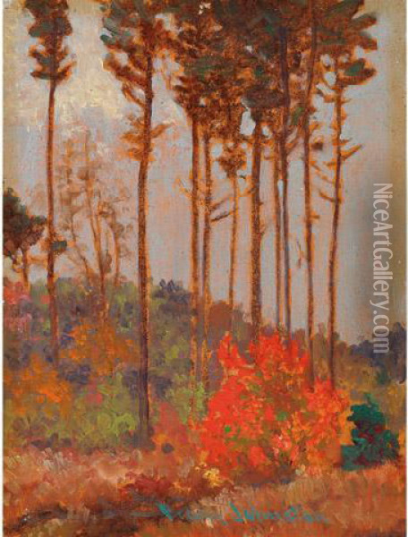 The Red Bush Oil Painting - Franz Hans Johnston