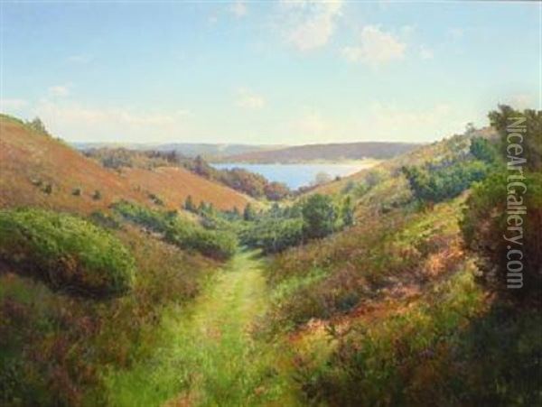 Hilly Moorland With Lake And Path Oil Painting - Peder Jacob Marius Knudsen