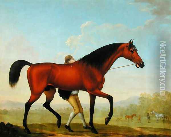 The Duke of Ancasters Bay Stallion, Blank, walking towards a Mare Oil Painting - William Shaw