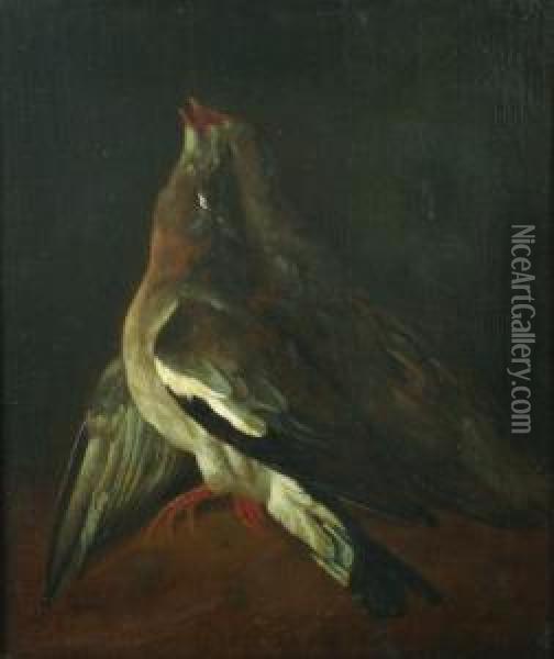 A Pair Of Paintings, Each Depicting A Pair Of Partridges Oil Painting - Ferdinand Phillip de Hamilton