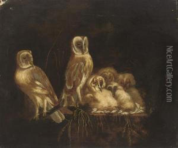 A Parliament Of Owls In A Nest Oil Painting - William Tomkins