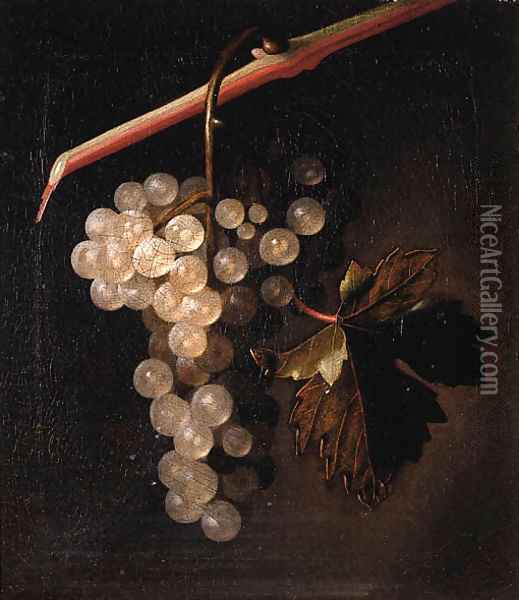 A trompe l'oeil a bunch of grapes hanging before a stone wall Oil Painting - Simon Pietersz. Verelst