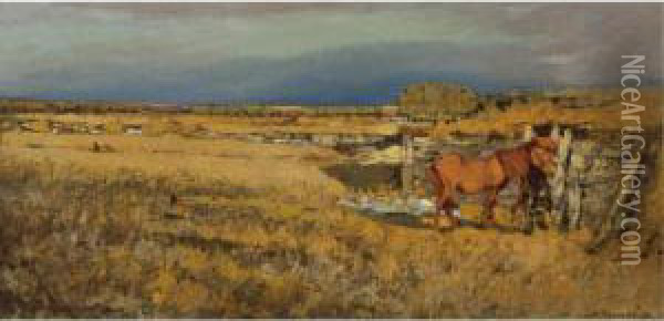 Country Landscape Oil Painting - Leonard Viktorovich Turzhanky