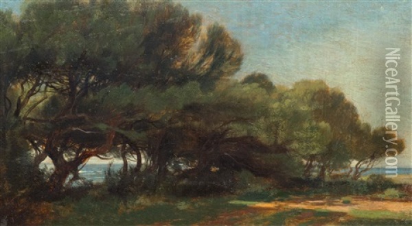 Pins En Bord De Mer (pinetrees Along The Coast) Oil Painting - Alexandre Calame