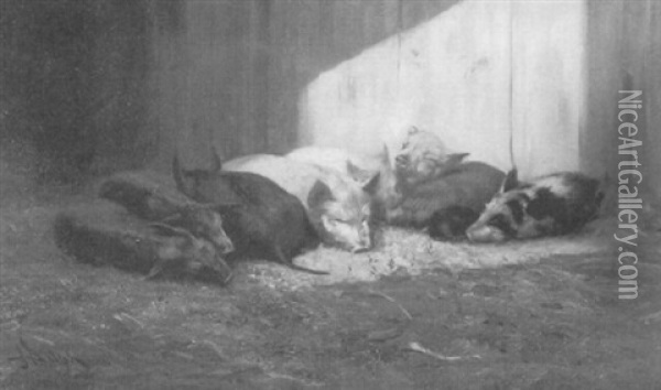 Piglets Napping In A Barn Oil Painting - John Henry Dolph