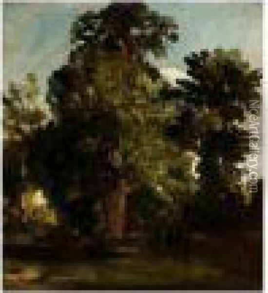 View Through Trees Towards A Cottage Oil Painting - Peter de Wint