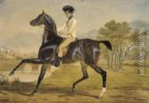 A Gentleman On Horseback Oil Painting - Alfred De Dreux