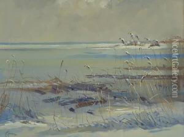 Winterliches Seeufer. Oil Painting - Alfred Haushofer