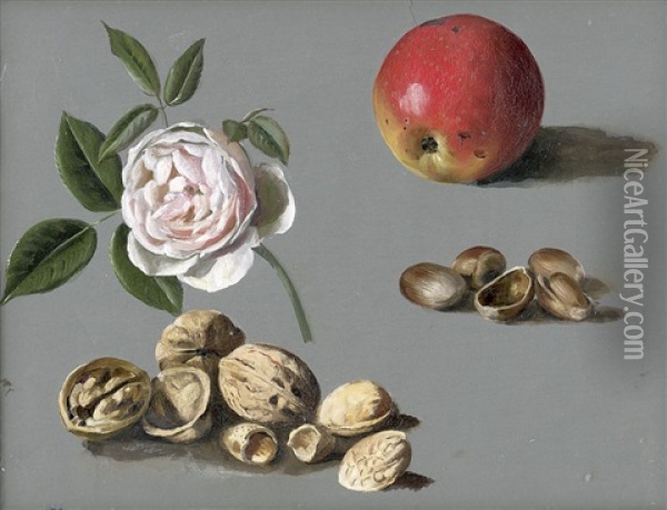 Studie Mit Rose, Rotem Apfel Und Nussen Oil Painting - Emmery Rondahl