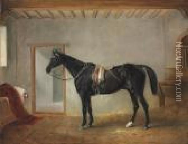 Soldier Boy In A Stable Oil Painting - John Snr Ferneley