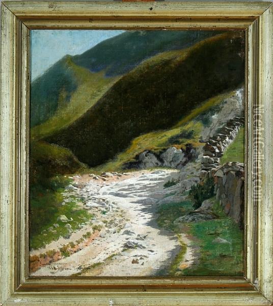 Mountain Scenery From The Pyrenees Oil Painting - Simon Simonson