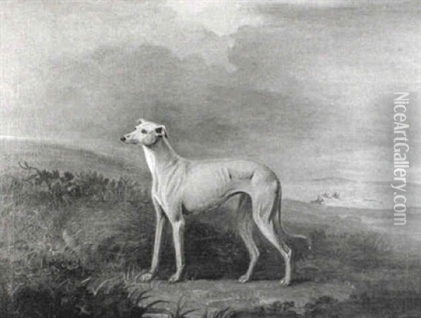A Greyhound In A Landscape Oil Painting - John E. Ferneley