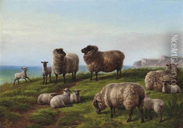 Sheep Grazing On A Headland Oil Painting - Charles Jones