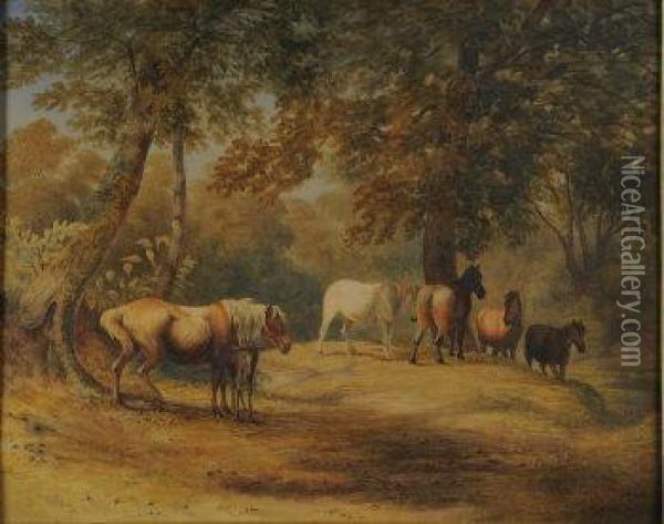 New Forest Ponies Oil Painting - Robert Hills