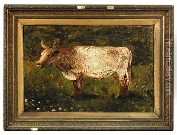 Study Of A Shorthorn Cow Oil Painting - John Linnell