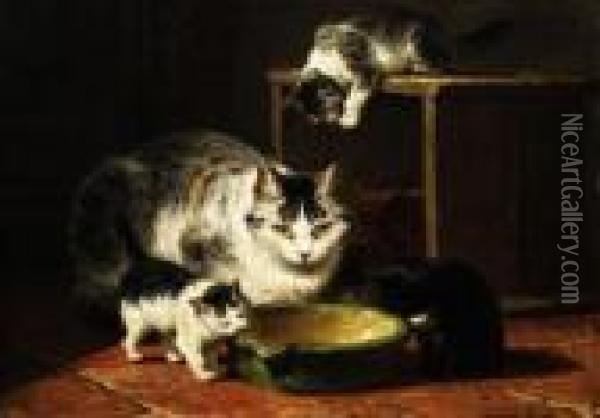 Katzenmutter Mit Vier Jungen Oil Painting - Henriette Ronner-Knip