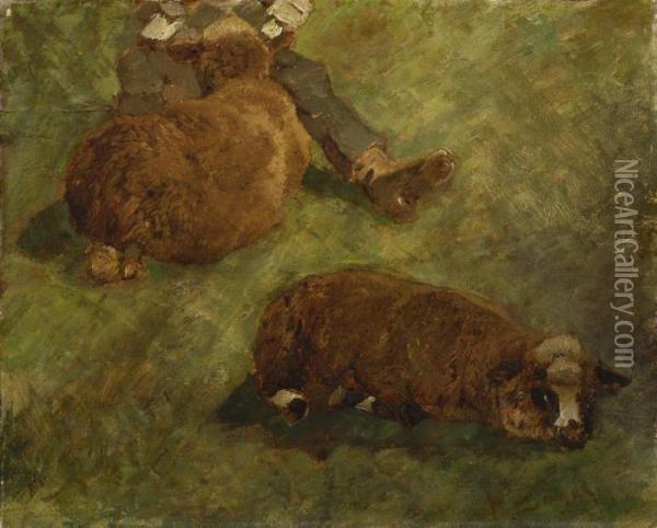 Zwei Liegende Schafe Oil Painting - Heinrich Johann Von Zugel
