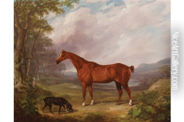 Stallion And A Dog Oil Painting - John Boultbee