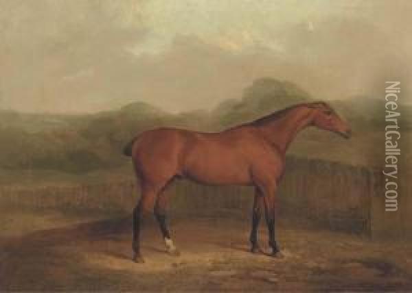 A Chestnut Racehorse In A Landscape Oil Painting - James Barenger