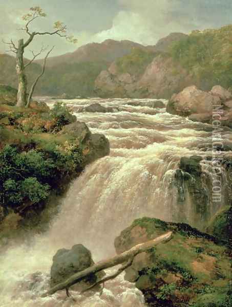 Waterfall on River Neath, South Wales Oil Painting - James Burrell-Smith