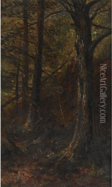 In The Woods Oil Painting - Thomas Mower Martin