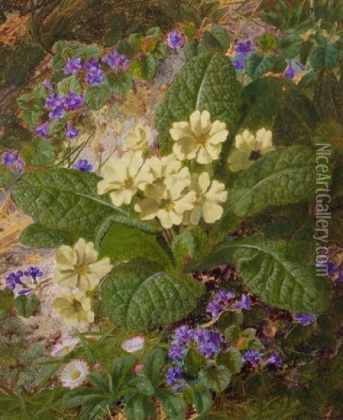 Still Life Of Wild Primroses Oil Painting - Thomas Worsey