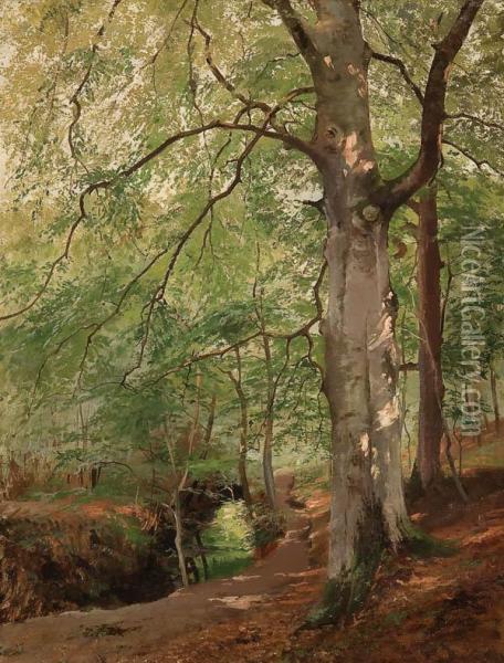 Forest Interior With Penetrating Sunlight Oil Painting - Paul Franz Flickel