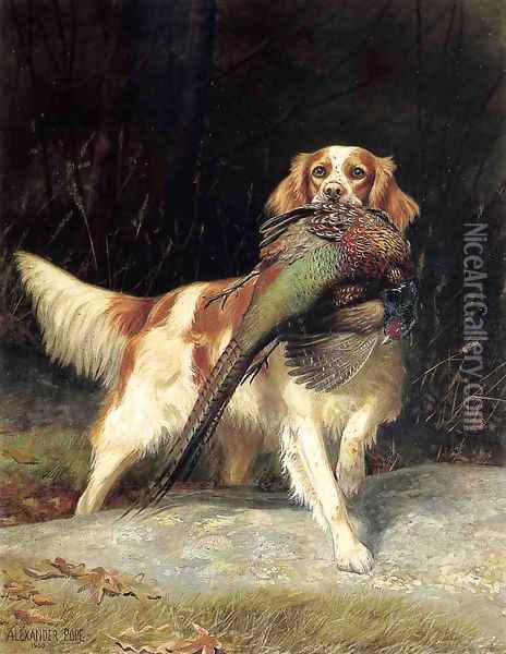 Springer Spaniel with Pheasant Oil Painting - Alexander Pope