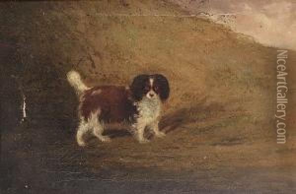 Liver And White Spaniel Oil Painting - Charles Hancock