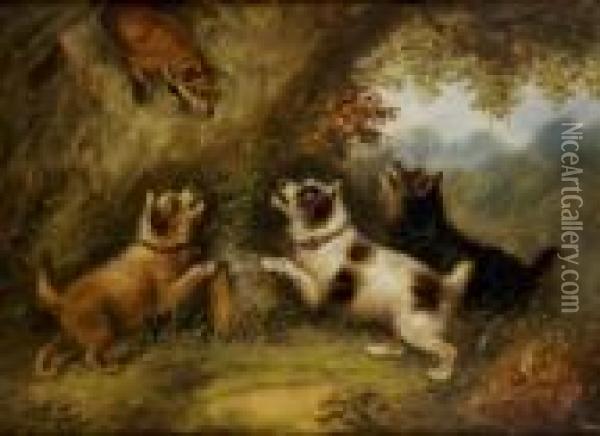 Terriers Chasing A Fox Oil Painting - George Armfield