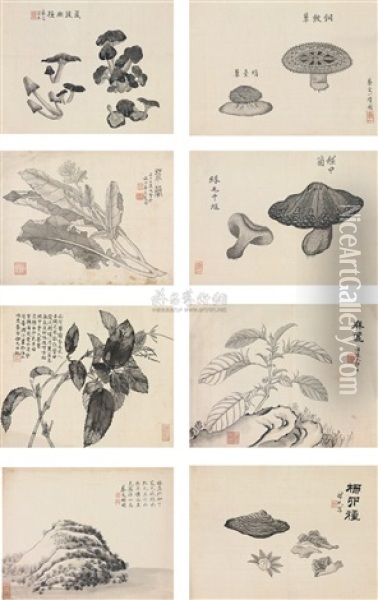 Flowers (album W/8 Works) Oil Painting -  Cai Shou