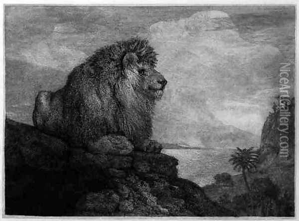 A Lion A Lion Resting on a Rock engraved by the artist Oil Painting - George Stubbs
