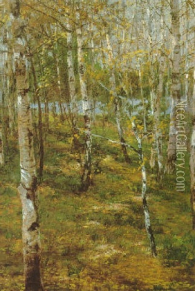 Birkenwaldchen Oil Painting - Walter Leistikow