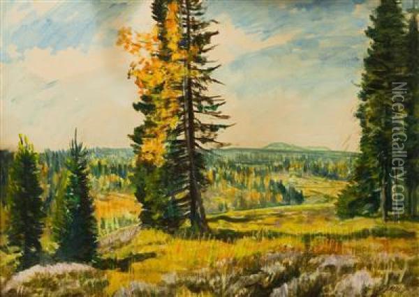 An Autumn Landscape Oil Painting - Antonin Hudecek