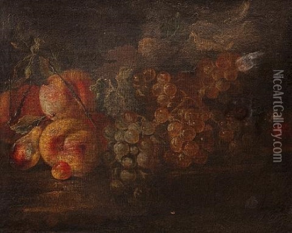 A Still Life Of Grapes, Apples, Pears And Walnuts Oil Painting - Giovanni Paolo Castelli (lo Spadino)