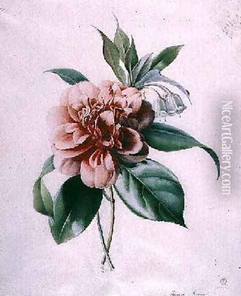 Camellia Oil Painting - Marie-Anne