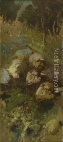 Paesaggio Con Pecore Oil Painting - Tito Pellicciotti
