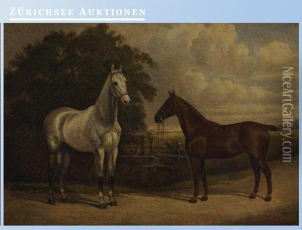 Kitty Grey And Kitty. Zwei Pferde Am Paddock Oil Painting - A. Clark