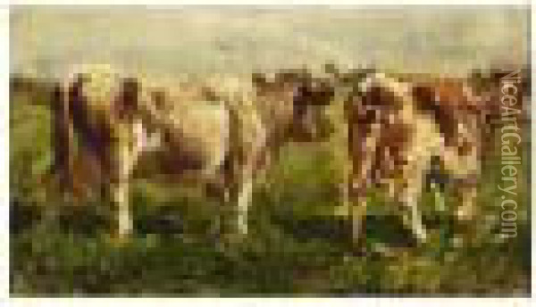 Cows In A Field Oil Painting - Willem Roelofs